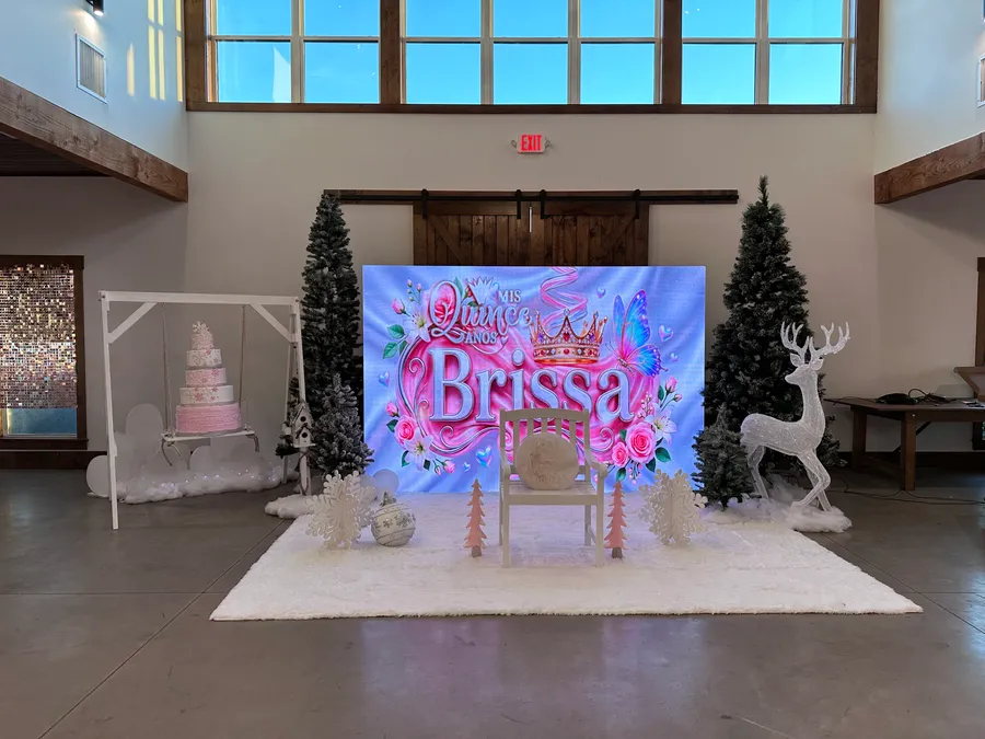 Brissa's Quinceañera