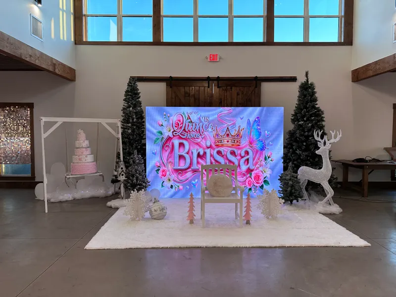 Brissa's Quinceañera